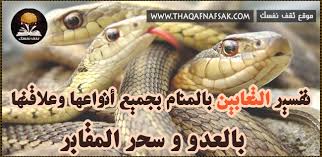 (ثعبان) يدل في المنام على رجل الوادي وربما دل على العداوة من الأهل والأزواج والأولاد وربما كان جاراً حسوداً شرير وثعبان الماء عون للظالم أو أعلام الحاكم. ØªÙØ³ÙŠØ± Ø¹Ø¶Ø© Ø§Ù„Ø«Ø¹Ø¨Ø§Ù† ÙÙŠ Ø§Ù„Ø­Ù„Ù…