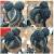 Black Bun Braids