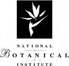 Image result for Cheilanthes angustifrondosa