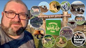 Another Solo Visit to The Yorkshire Wildlife Park, All the Animals where  our #itsastakesything