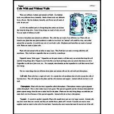 High quality reading comprehension worksheets for all ages and ability levels. Cells With And Without Walls Reading Comprehension Worksheet Edhelper