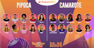 Um site com enquetes para você poder votar e saber a rep: Vote No Bbb21 Enquete Bbb Votar Bbb 21