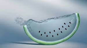 We did not find results for: Wallpaper Unik Dan Keren Green Melon Water Plant Watermelon 636583 Wallpaperuse