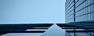 Înscriere în audiență la directorul executiv al dsvsa: Home