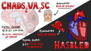 Cva risk based on chad vasc score. Chadsvasc Vs Hasbled Total Scores Interpretation What Do They Mean Youtube