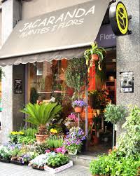 Floristería Jacarandas