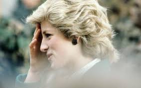 Roma wants to play with diana, but she is sleeping soundly. Diana Das Interview Das Die Monarchie Erschutterte Bei Tvnow