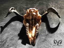 See more ideas about goat skull, skull, animal skulls. Goat Skull