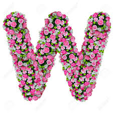 Par exemple, si un avion veut atterrir sur une piste appelée n11, on dira november unité unité ou november onze. W Flower Alphabet Isolated On White With Clipping Path Stock Photo Picture And Royalty Free Image Image 11854450
