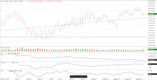 The Wyckoff Wave Traded Sideways For The Week Wyckoff