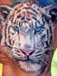 The white tiger is the ruler of autumn and governor of the element, metal. Tiger Blue Eyes Tattoo Shefalitayal