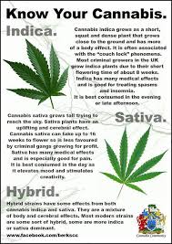 Sativa Indica Hybrid Chart Www Bedowntowndaytona Com