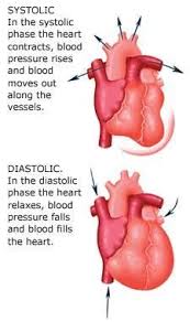 For All Phlebotomy Courses In Programs For Medical Clinical Laboratory Scientists Medical Laboratory Technicians Phlebotomists Medical Phlebotomy Alzhe