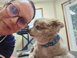 Premier Vet Services P.C.