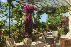 Sie möchten sich einen mediterranen garten anlegen? Mediterrane Pflanzen Die 10 Wichtigsten Stauden Geholze Tipps