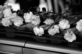 Us dollar euro british pound singapore dollar emirati dirham australian dollar canadian dollar bahraini dinar chinese yen egyptian pound hongkong dollar thank you for delivering fresh flowers to my fiance in singapore. Singapore S Finest Funeral Services By Albert Madison Medium