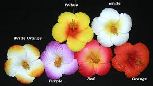 Pulelelhua roughly translates to floating flower. Hawaiian Mini Hibiscus Pen Jade Fashion Hawaiian Clothes And Gifts Store