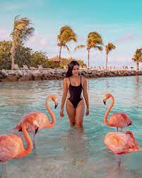 Oranjestad is the charming capital of aruba, an island paradise that offers uncrowded beaches, windswept vistas and very friendly locals. How To Get To Flamingo Beach Aruba Where To Fly Next