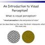 Visual Perception ppt from www.slideshare.net