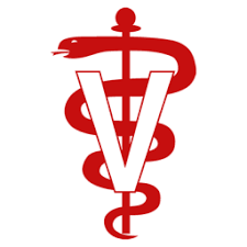 Teknovet Vetilac Com