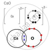 We did not find results for: Draw Orbit Structure Diagram Of Calcium Oxide Cao Chemistry Shaalaa Com