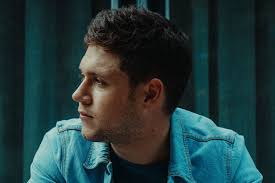 Extremely talented niall love love love ya. Niall Horan Flicker Bene Ma Non Benissimo