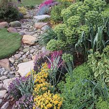 Jan johnsen, a landscape designer in mount kisco, new york, landscapes swales with a river rock lining and plants that thrive in moist conditions along the sides: Dry Stream Does Double Duty Finegardening