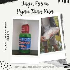 Oplosan Essen Ikan Nila Liar Di Danau Di 2020 Essen Hijau Danau