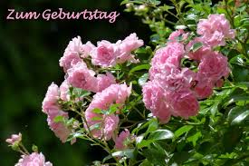 Gluckwunsche Zum Geburtstag Kostenlose Beispieltexte Fur Karten