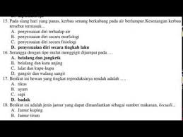 Pembahasan fr skb guru sd 2020 6 september full. Contoh Soal Cpns 2018 Soal Skb Cpns Guru Sd Qwerty