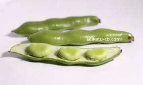 そら豆の数え方 単位は1莢 1粒 1個 生活知恵袋