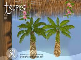 If you are an isa certified arborist and would like to obtain the certified arborist flair you can try taking it to a window and facing it so its leaning away from the window, plants have a tendency to grow towards light, so new growth would. Simcredible S Tropics Outdoor Enlighted Palm Tree