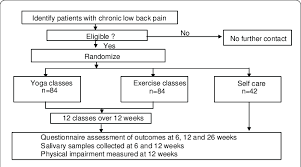 participant focused flow chart download scientific diagram