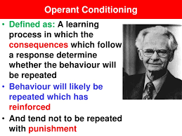 3 Phase Model Of Operant Conditioning Vce U4 Psych