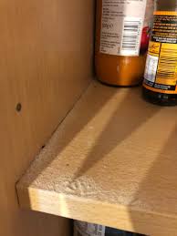 getting rid of black bugs in kitchen