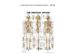 Anatomical Chart The Skeletal System Read