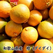楽天市場】＼SALE！／橙（ダイダイ） 箱込み5キロ（4.5ｋｇ） ご家庭用 サイズ混合  無選別≪11月下旬頃より収穫予定≫【わけあり】【和歌山県産】【お買い得】【だいだい】【ＲＣＰ】【送料込み】【送料無料】 : 梅とみかん 紀州葵農園