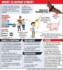 In india, the earliest nipah virus outbreaks were reported in siliguri (2001) and nadia (2007) in west bengal. Nipah Virus In Kerala Steps Taken To Contain Nipah Virus Assures Kerala Govt Kochi News Times Of India