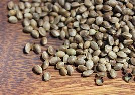 Only by answering this question can people of the muslim faith know whether the benefits to health are open to them or not. Health Benefits Of Hemp Seeds International Shia News Agency