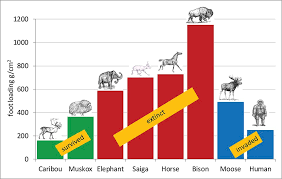 List of extinct animals of the philippines. Pleistocene Megafauna In Beringia U S National Park Service