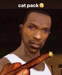 Connor Stokes (@connorstokess)