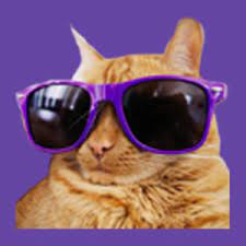 Do you love him or are you annoyed? Coolcat Theater Twitch