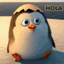 Hola GIFs | Tenor