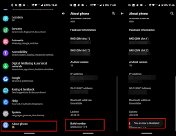 En primer lugar, habilite el modo de desarrollador en el galaxy s10 inicie la aplicación de configuración desplácese hacia abajo y toque la opción opciones de . A Step By Step Guide To Root Samsung Galaxy S10 Droidwin