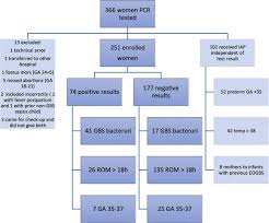 Image result for Group B Streptococcus Prophylaxis