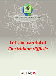 Image result for Clostridium difficile