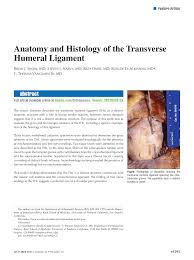In the video below, dr. Pdf Anatomy And Histology Of The Transverse Humeral Ligament