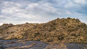 Tijdens de doorzoeking werd geconstateerd dat de verwerkingsprocessen binnen het bedrijf niet transparant genoeg zijn. Politie Houdt Verdachten Aan Voor Mestfraude Met Tientallen Boeren Opgelicht Avrotros Programma Over Oplichting En Fraude En Bedrog