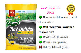 Best time to spray grass selective herbicide in clover. 8 Best Weed Killers For Lawns Comparison Reviews 2021 Cg Lawn