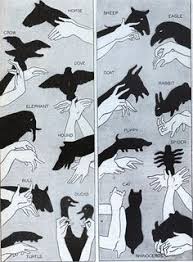 Fun With Shadows For Home Entertainers Arts Et Loisirs Creatifs Art De L Ombre Loisir Creatif Enfant
